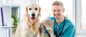 Tourism Listing Partner Vets Perth